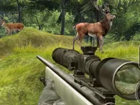 https://www.guolikb.com/game/sniper-hunting-deadly-animal