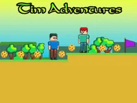 https://www.guolikb.com/game/tim-adventures