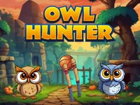 https://www.guolikb.com/game/owl-hunter