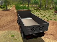 https://www.guolikb.com/game/offroad-cargo-truck-2024
