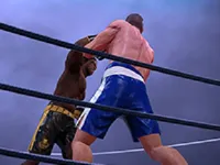 https://www.guolikb.com/game/ultimate-boxing