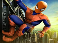 https://www.guolikb.com/game/spiderman-skate-3d
