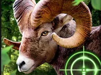 https://www.guolikb.com/game/crazy-goat-hunter-2020