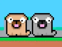 https://www.guolikb.com/game/friends-pug