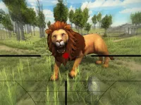 https://www.guolikb.com/game/lion-hunting-3d