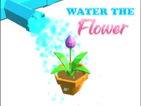 https://www.guolikb.com/game/water-the-flower