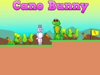 https://www.guolikb.com/game/cano-bunny