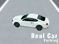 https://www.guolikb.com/game/real-car-parking-3d